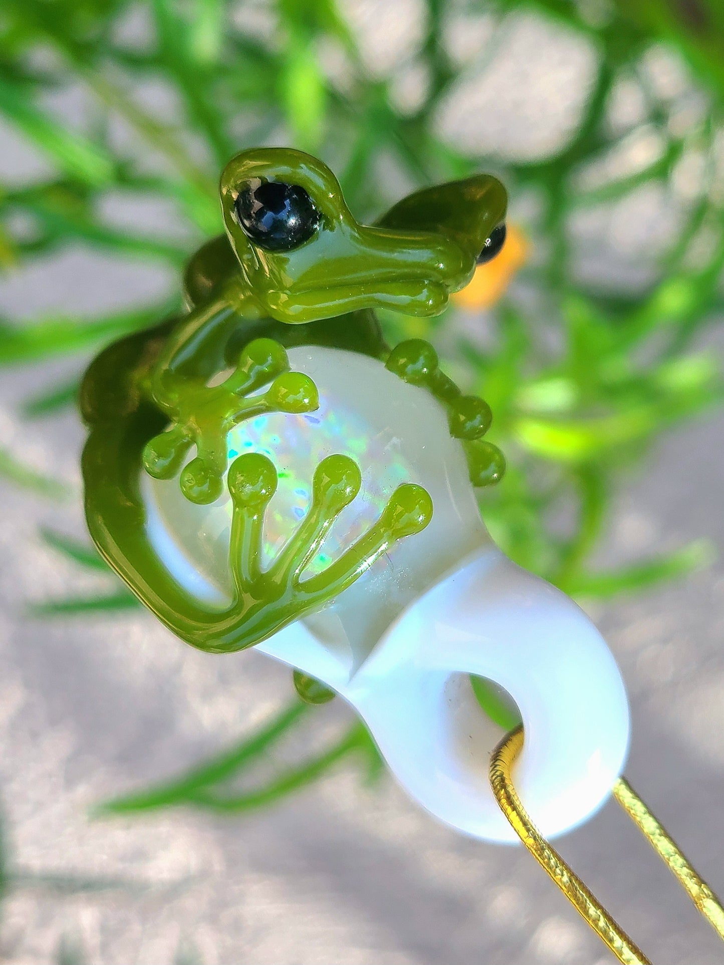Opal Frogs - Stoney Chicken