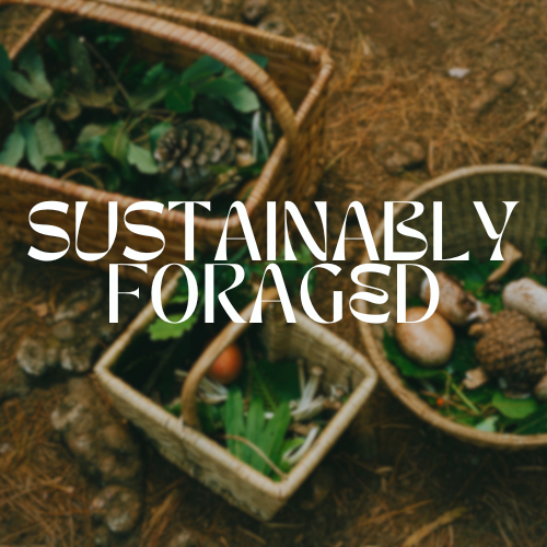 Sustainably Foraged