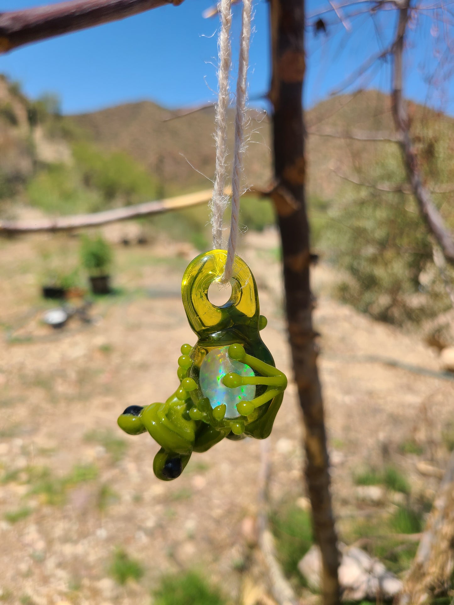 Opal Frogs - Stoney Chicken