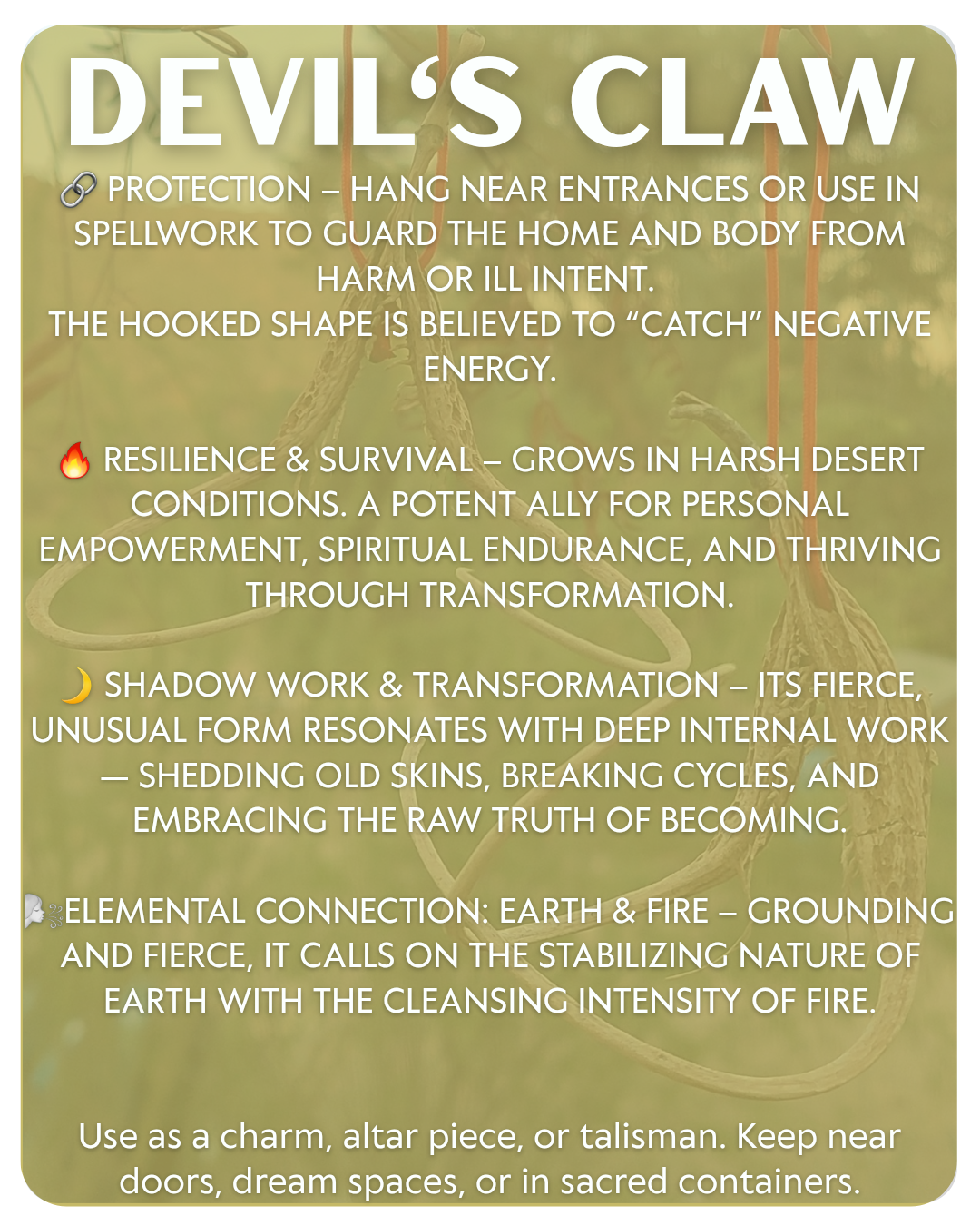 Devil's Claw Protection Talisman
