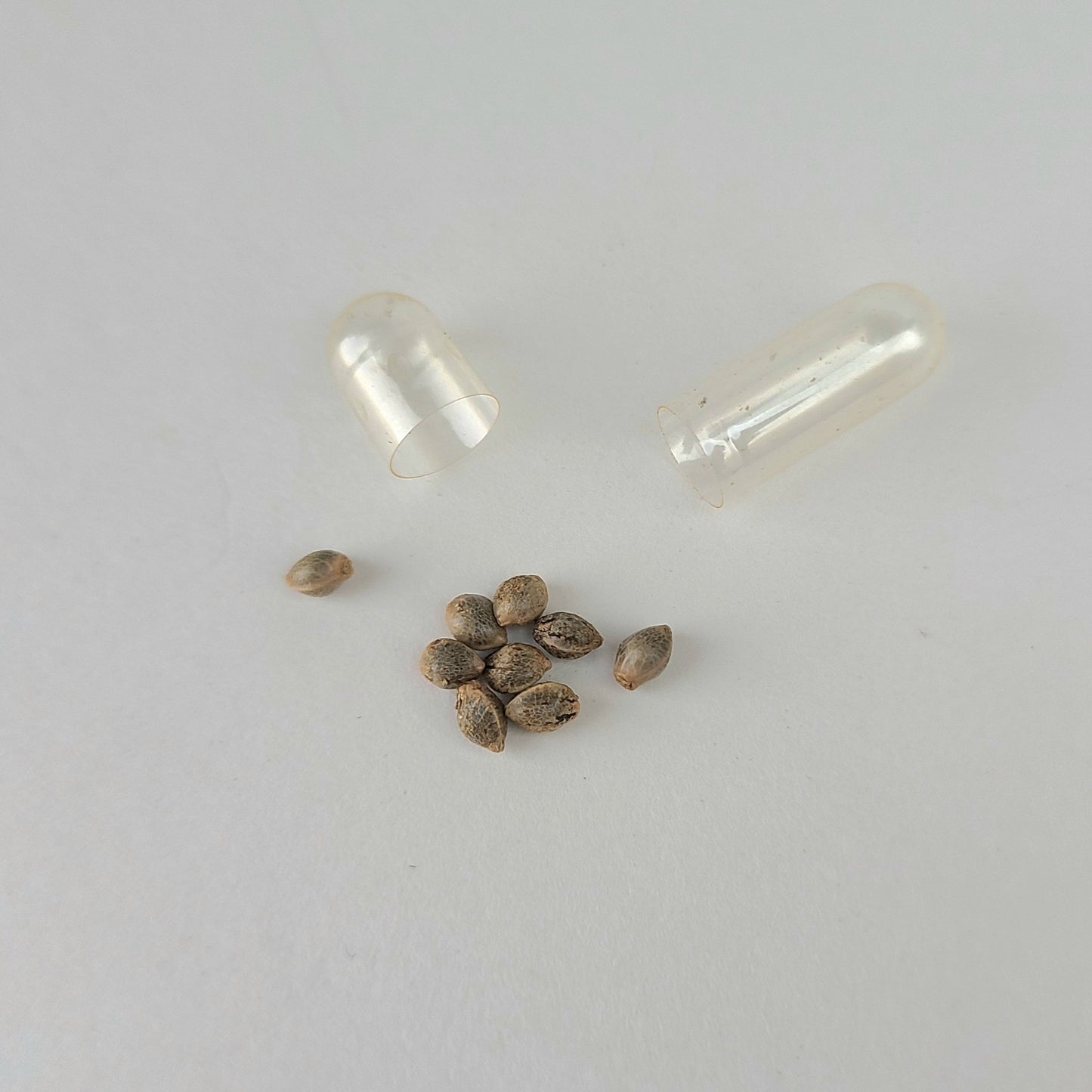 Cosmic Apothecary Seed Packs