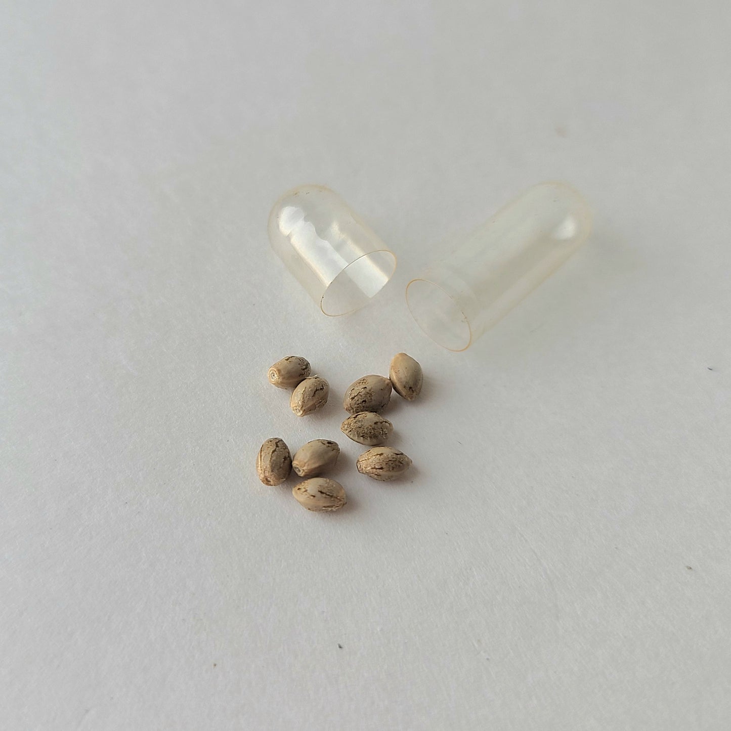 Cosmic Apothecary Seed Packs