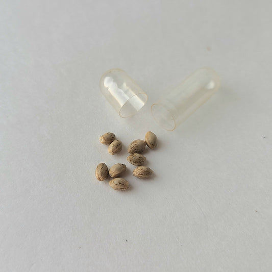 Cosmic Apothecary Seed Packs